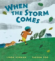 When the storm comes Book cover
